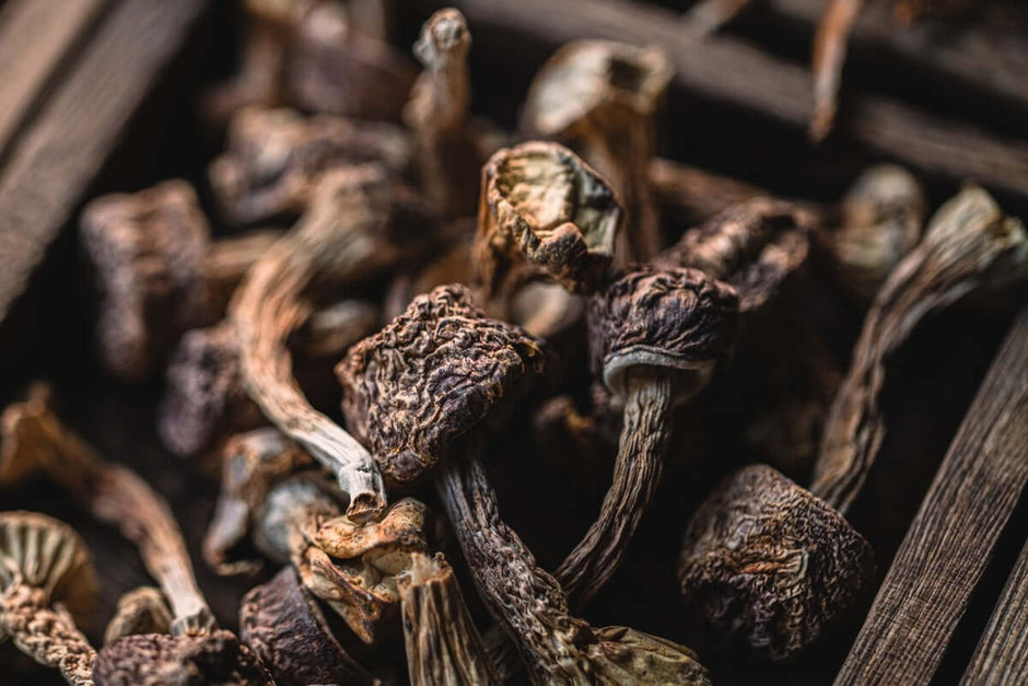 Here’s suggested alt text forA selection of dried medicinal mushrooms displayed in a natural arrangement, highlighting their earthy tones and intricate textures, commonly used in functional health and wellness practices.